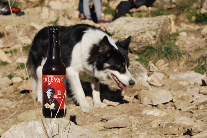 Un día de escalada en Patones. Go Hoppy Go Go! | 90 varas